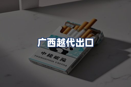 广西越代出口